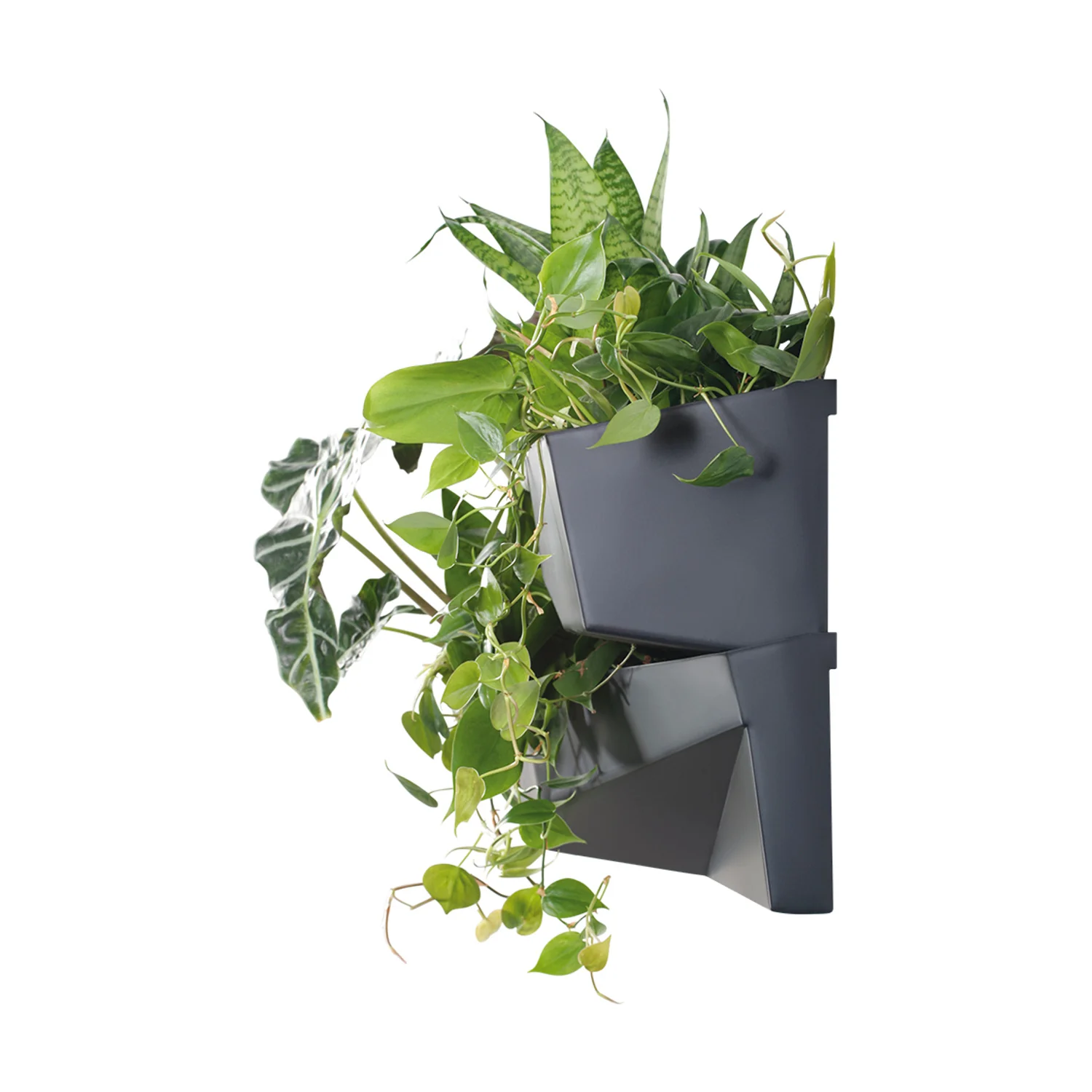 Jardin vertical Prosperplast Cascade Garden Wall IO3W800-S433 – Image 5