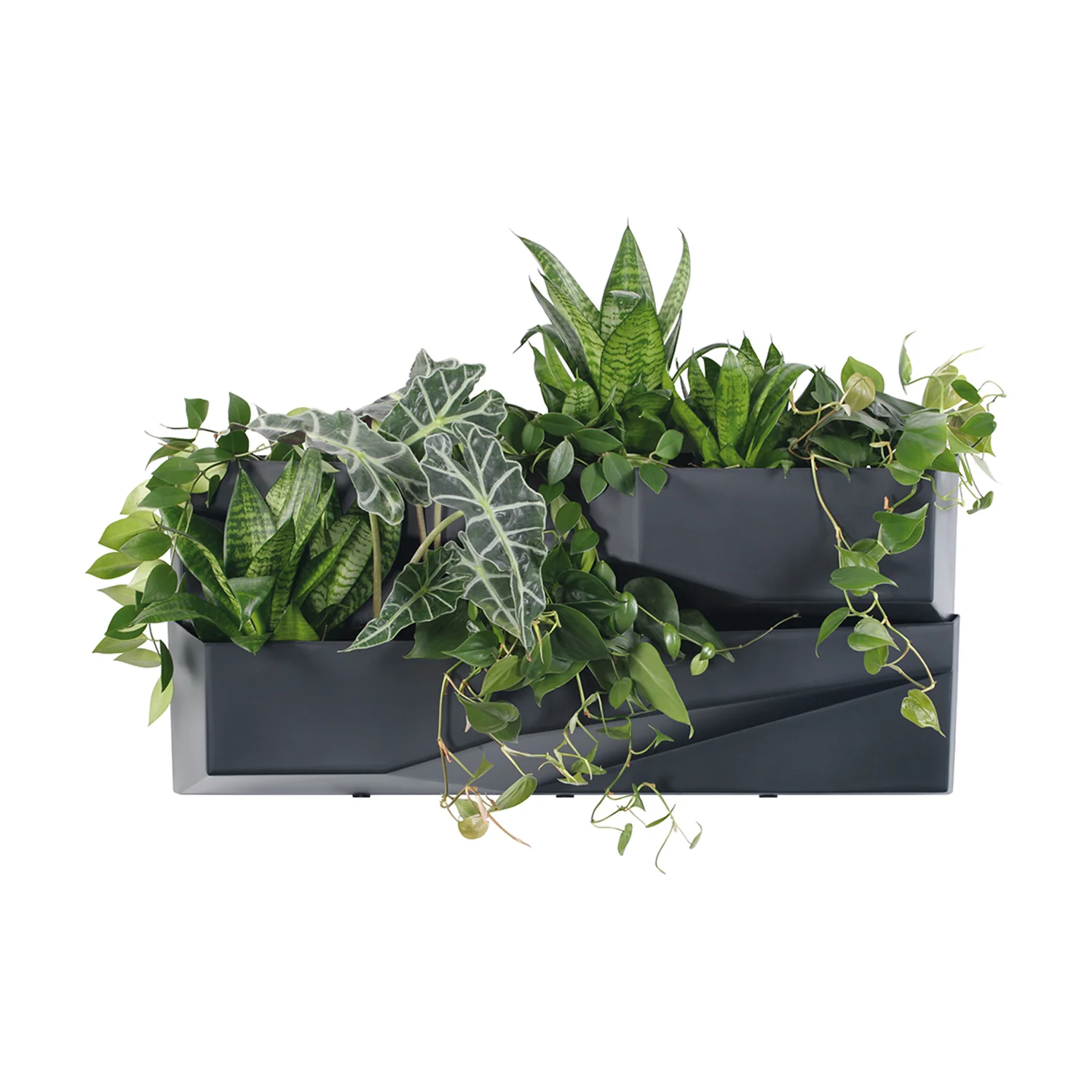 Jardin vertical Prosperplast Cascade Garden Wall IO3W800-S433 – Image 6